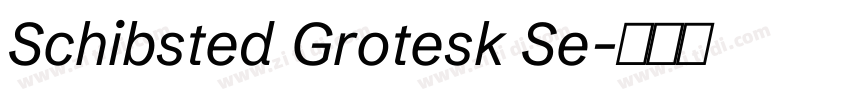 Schibsted Grotesk Se字体转换